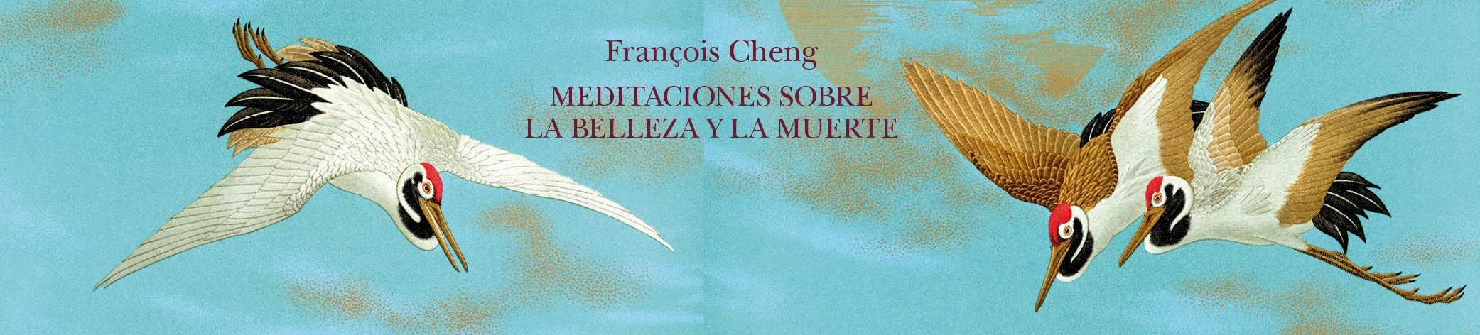 Meditaciones sobre la belleza y la muerte