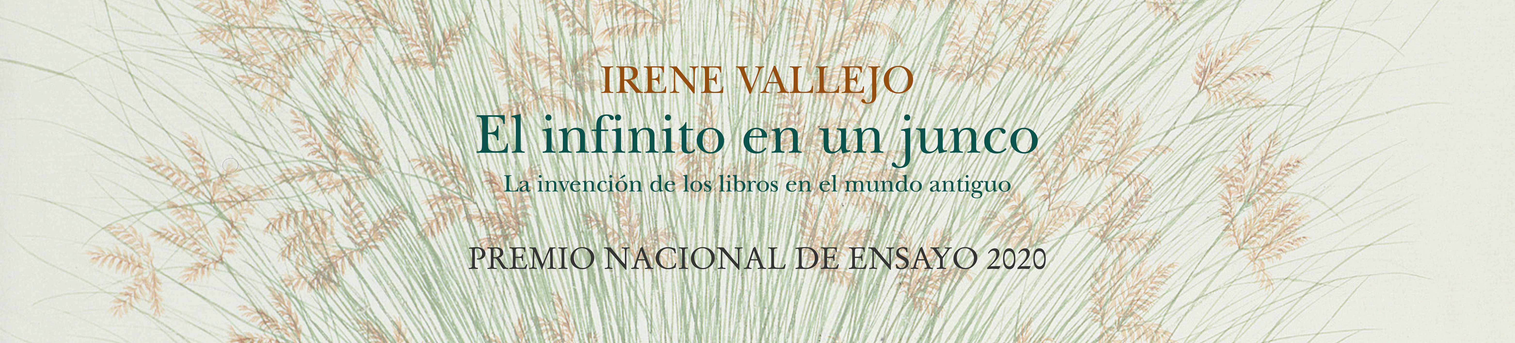 El infinito en un junco