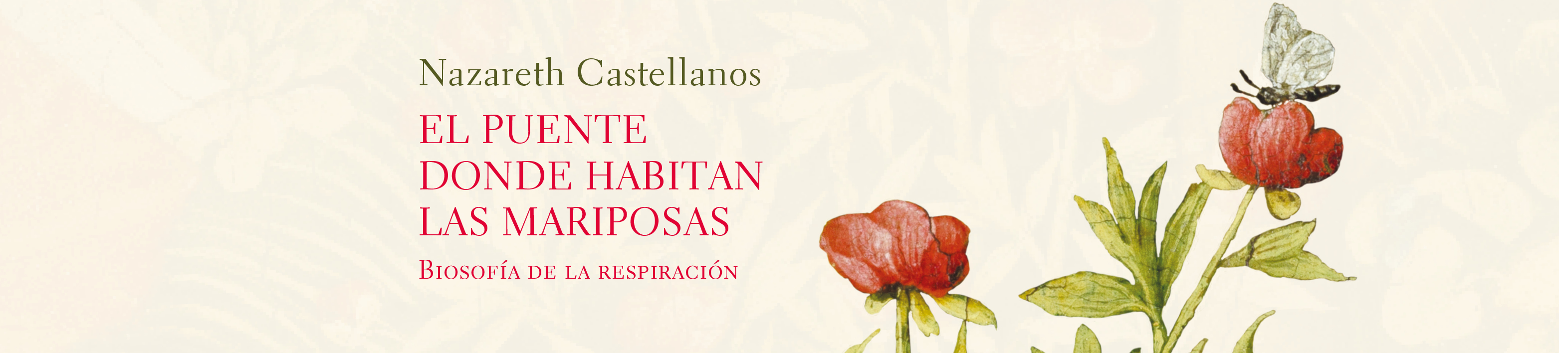El puente donde habitan las mariposas