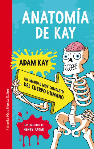 Anatoma de Kay