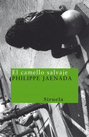 El camello salvaje